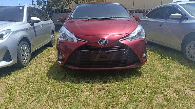 Vitz